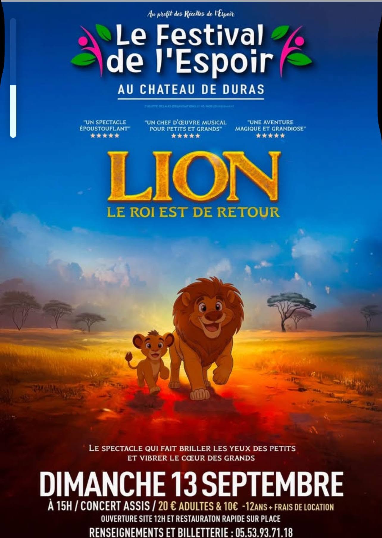 le roi lion.jpg (190 KB)