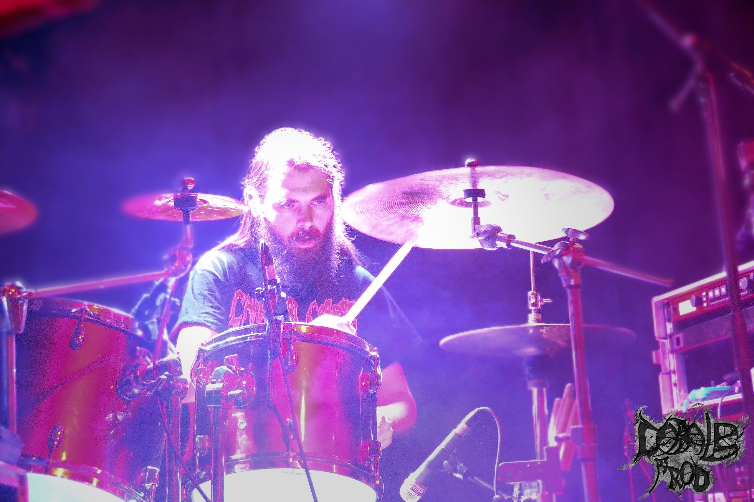 iron flesh (5).jpg (506 KB)