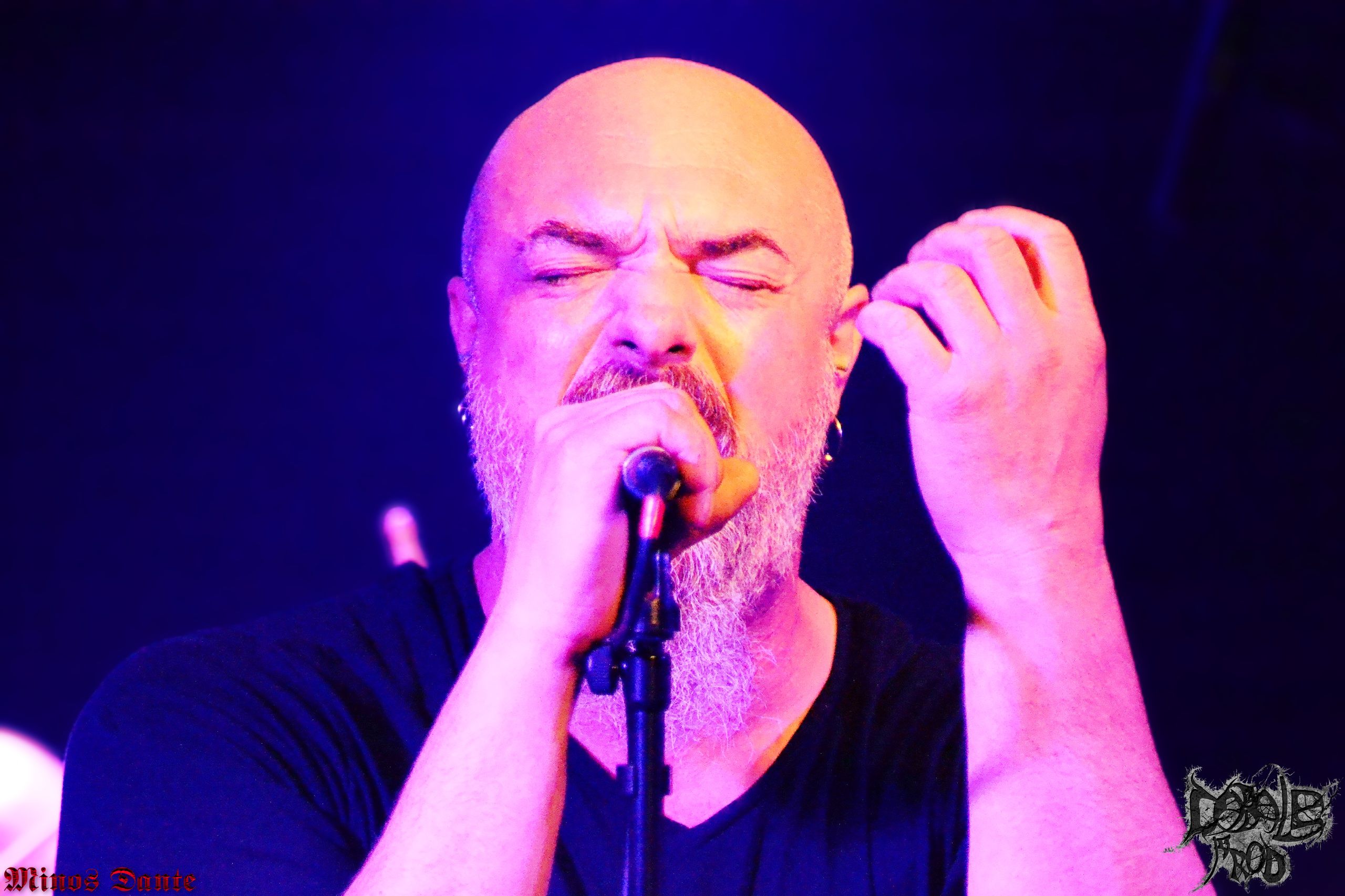 CARCOLH 1.jpg (389 KB)