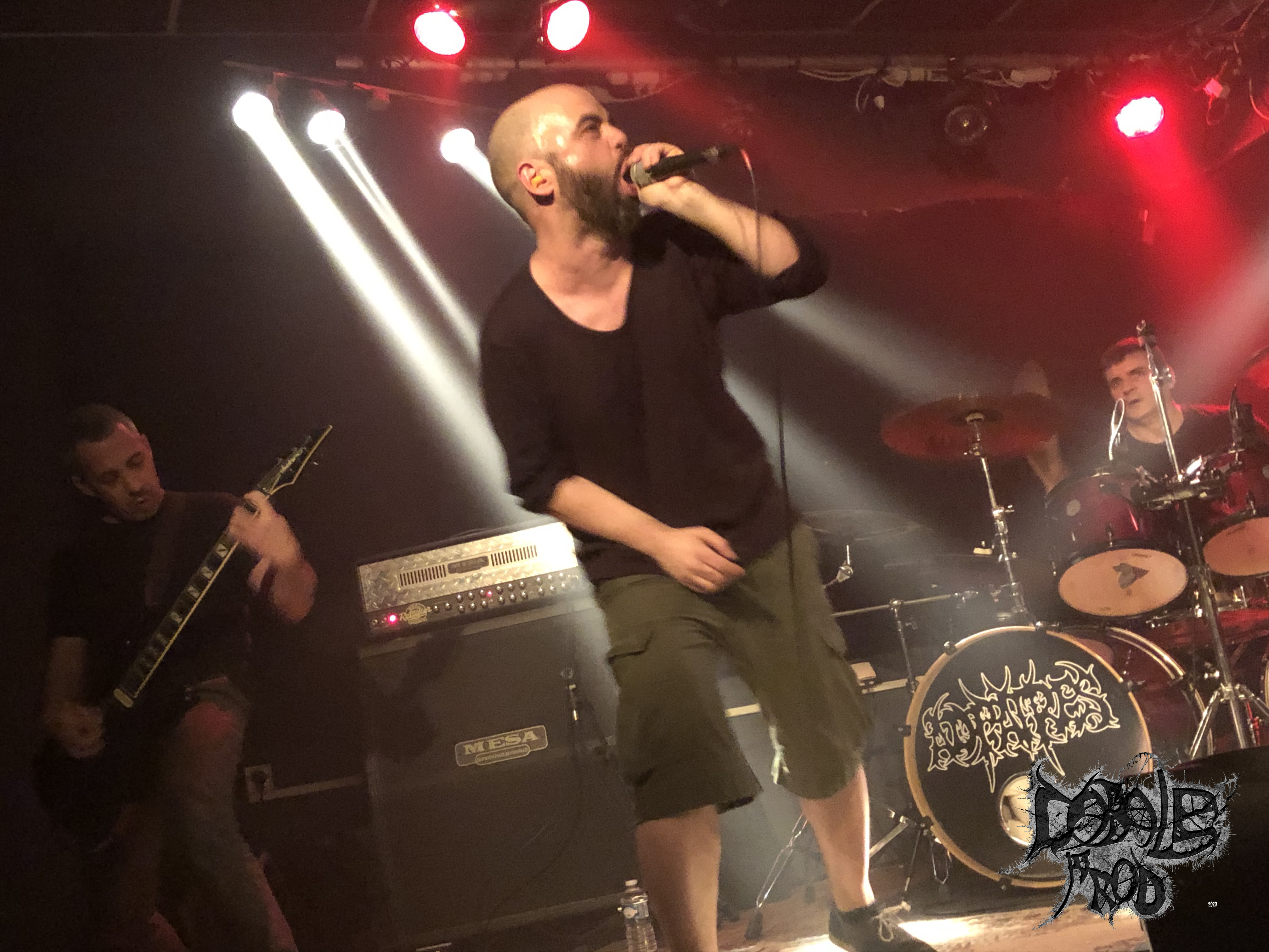 CARBON SEED 003.jpg (3.27 MB)