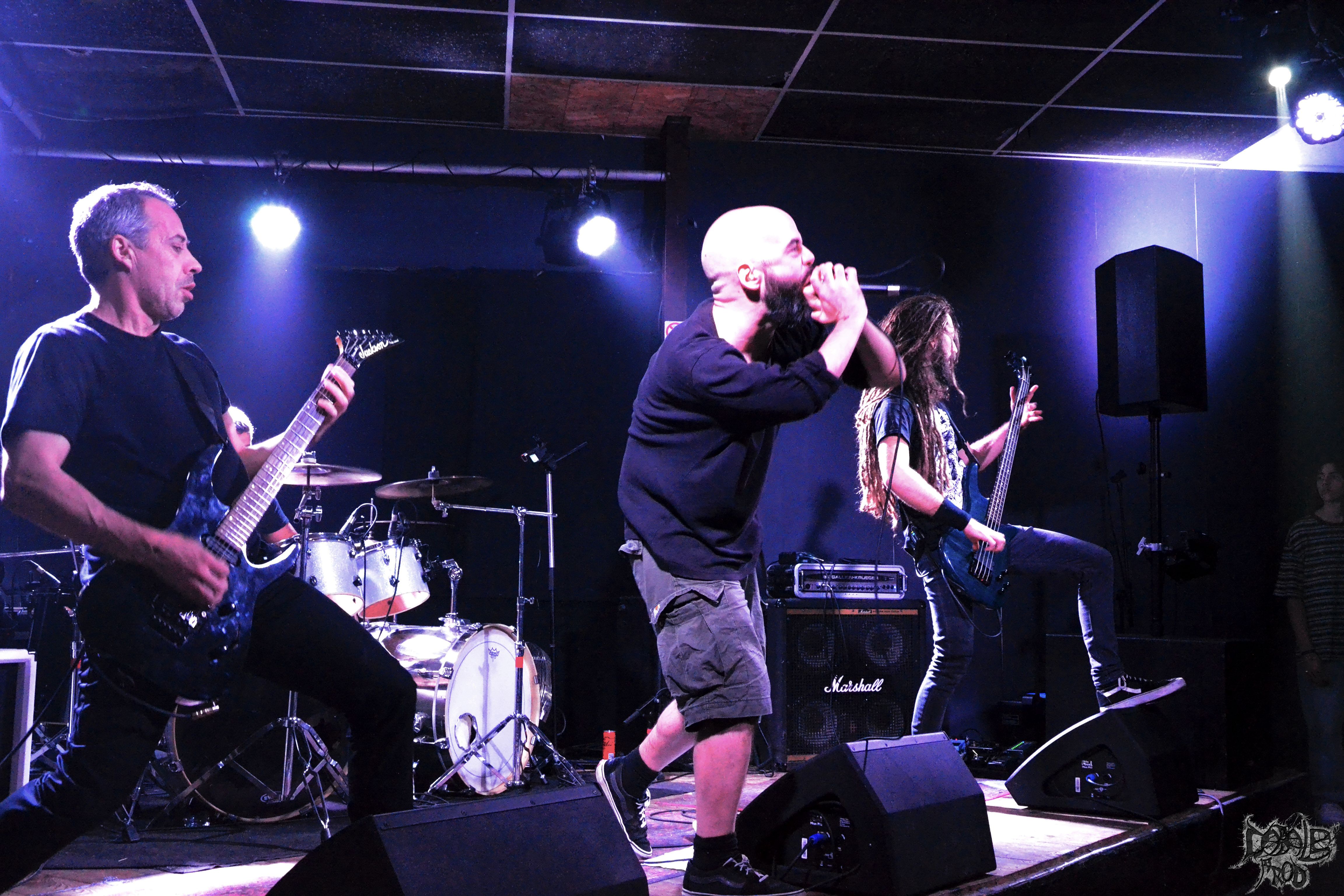 carbon seed 1.jpg (1.79 MB)