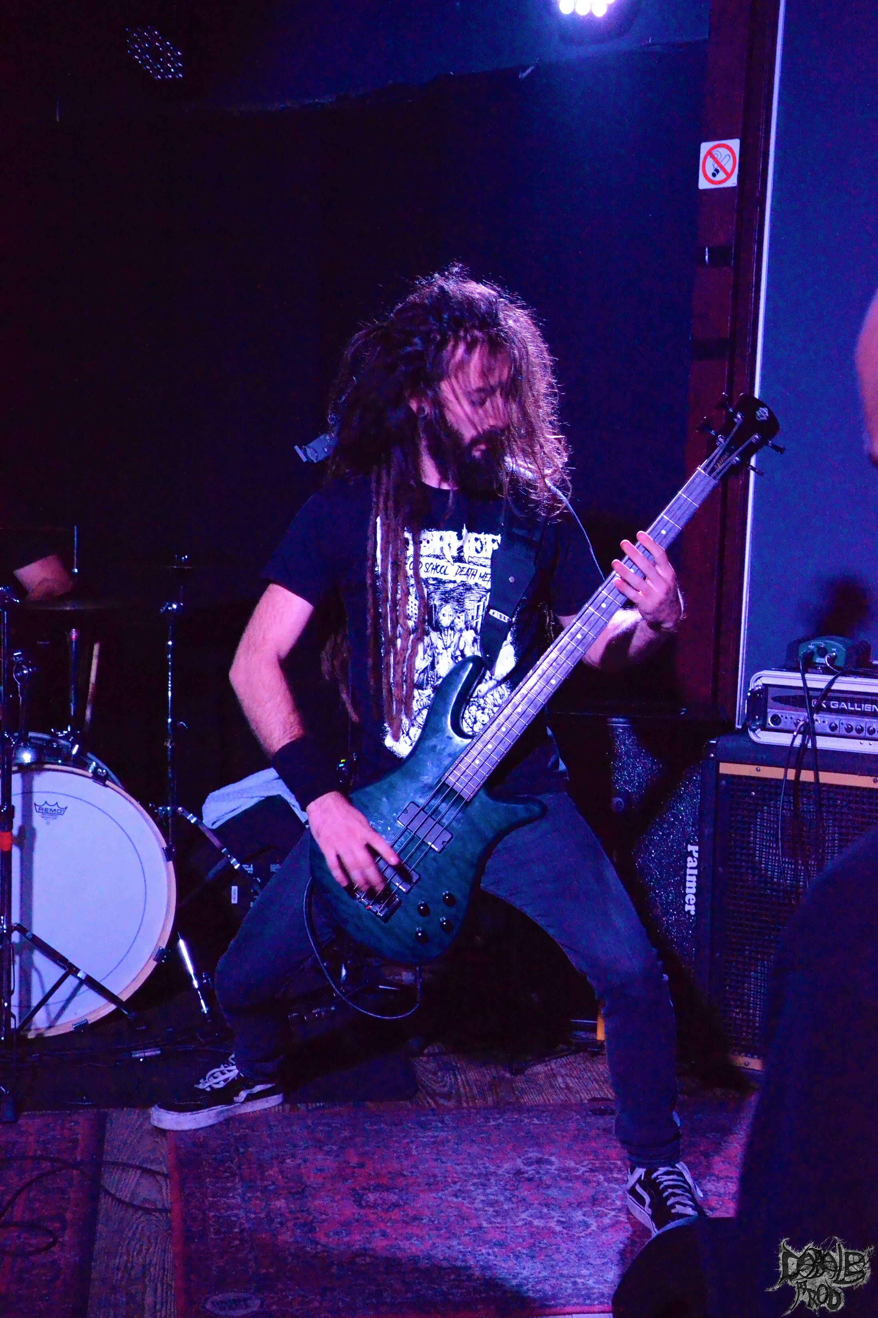 carbon seed 3.jpg (1.84 MB)