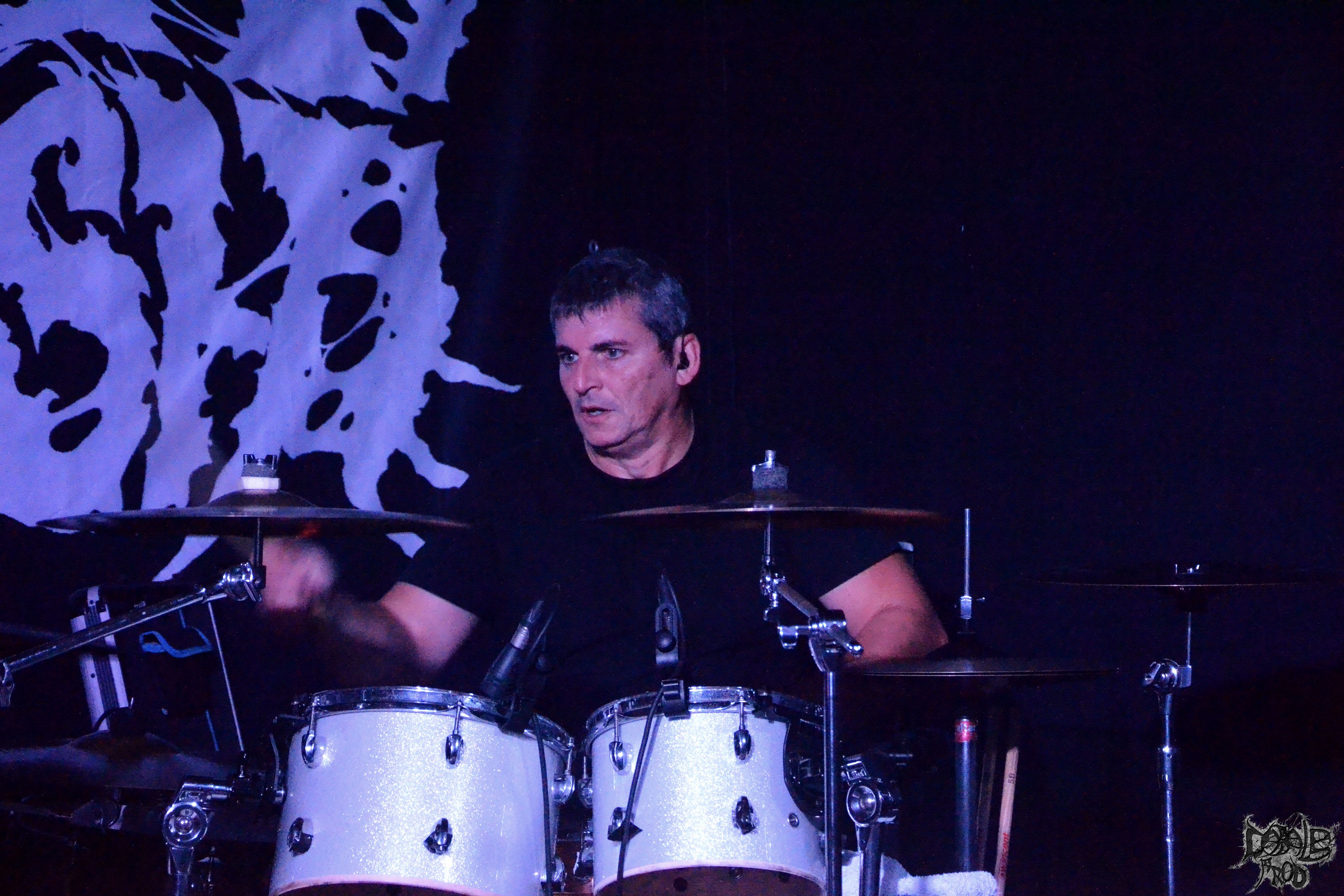 carbon seed 7.jpg (1.74 MB)