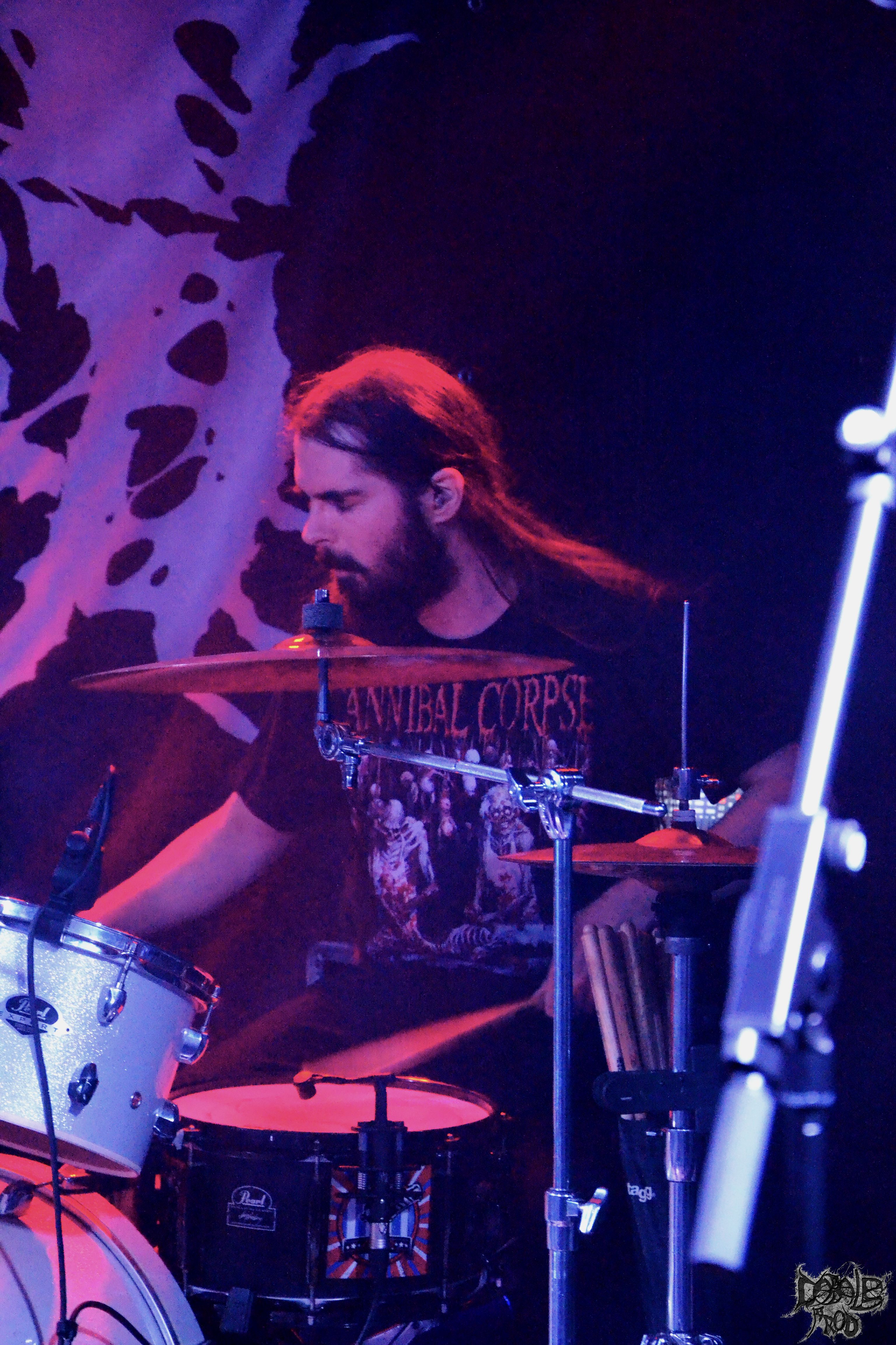 iron flesh4.jpg (2.01 MB)