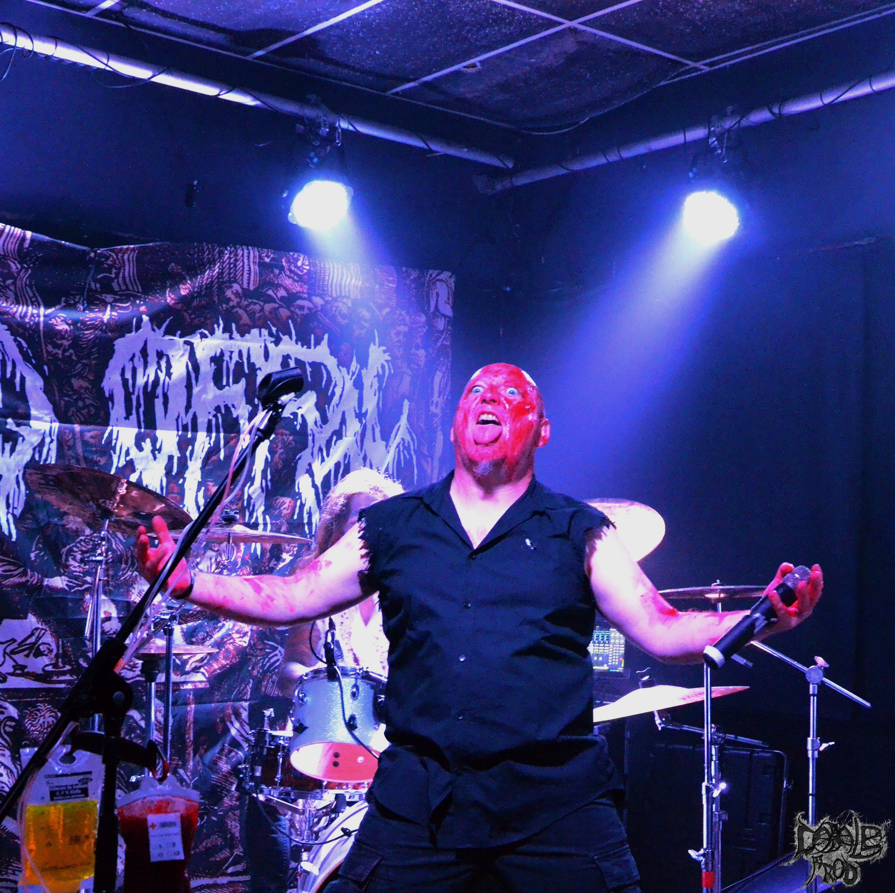 putrid offal 2.jpg (1.47 MB)