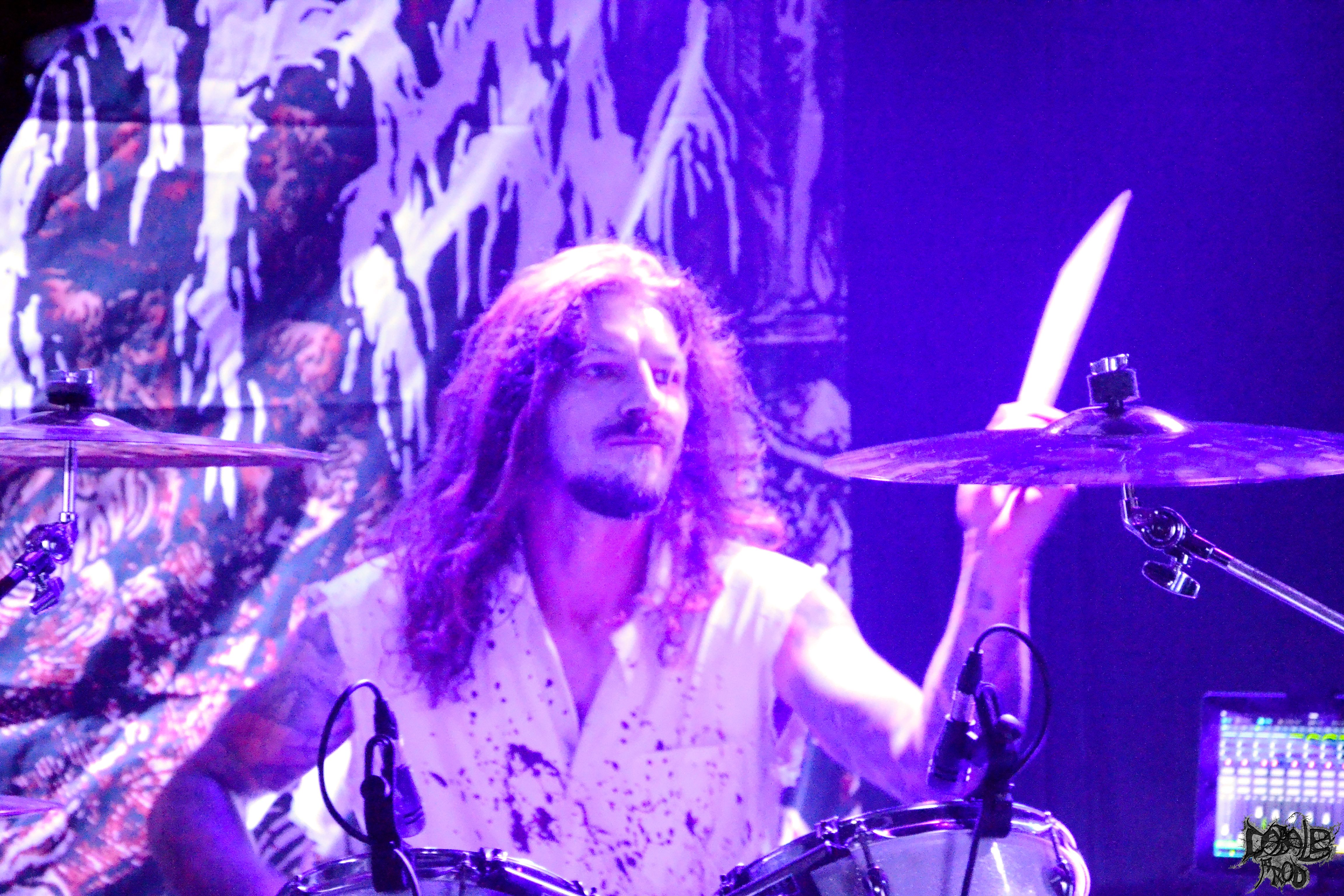 putrid offal 4.jpg (2.22 MB)