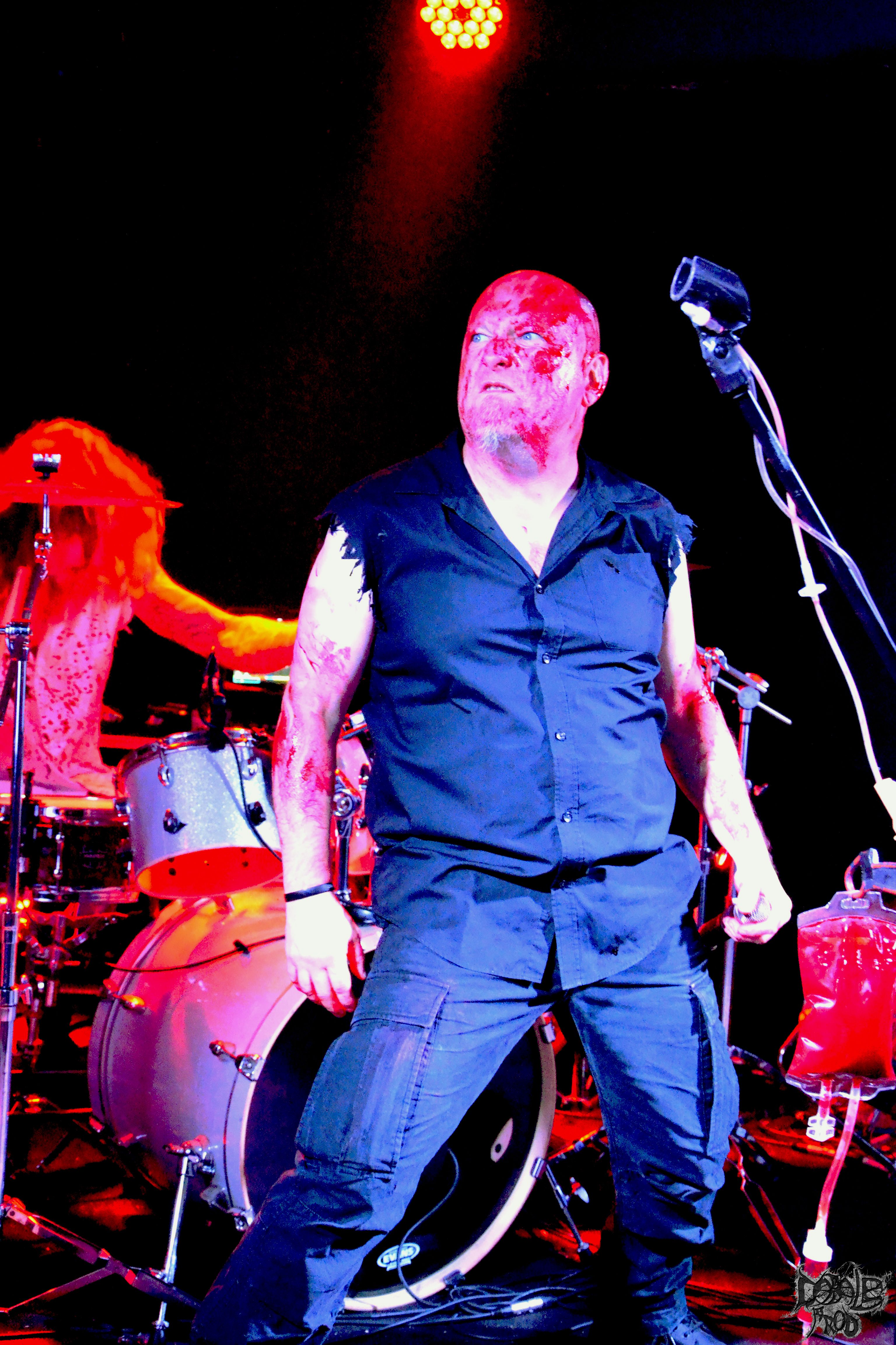 putrid offal 6.jpg (1.60 MB)