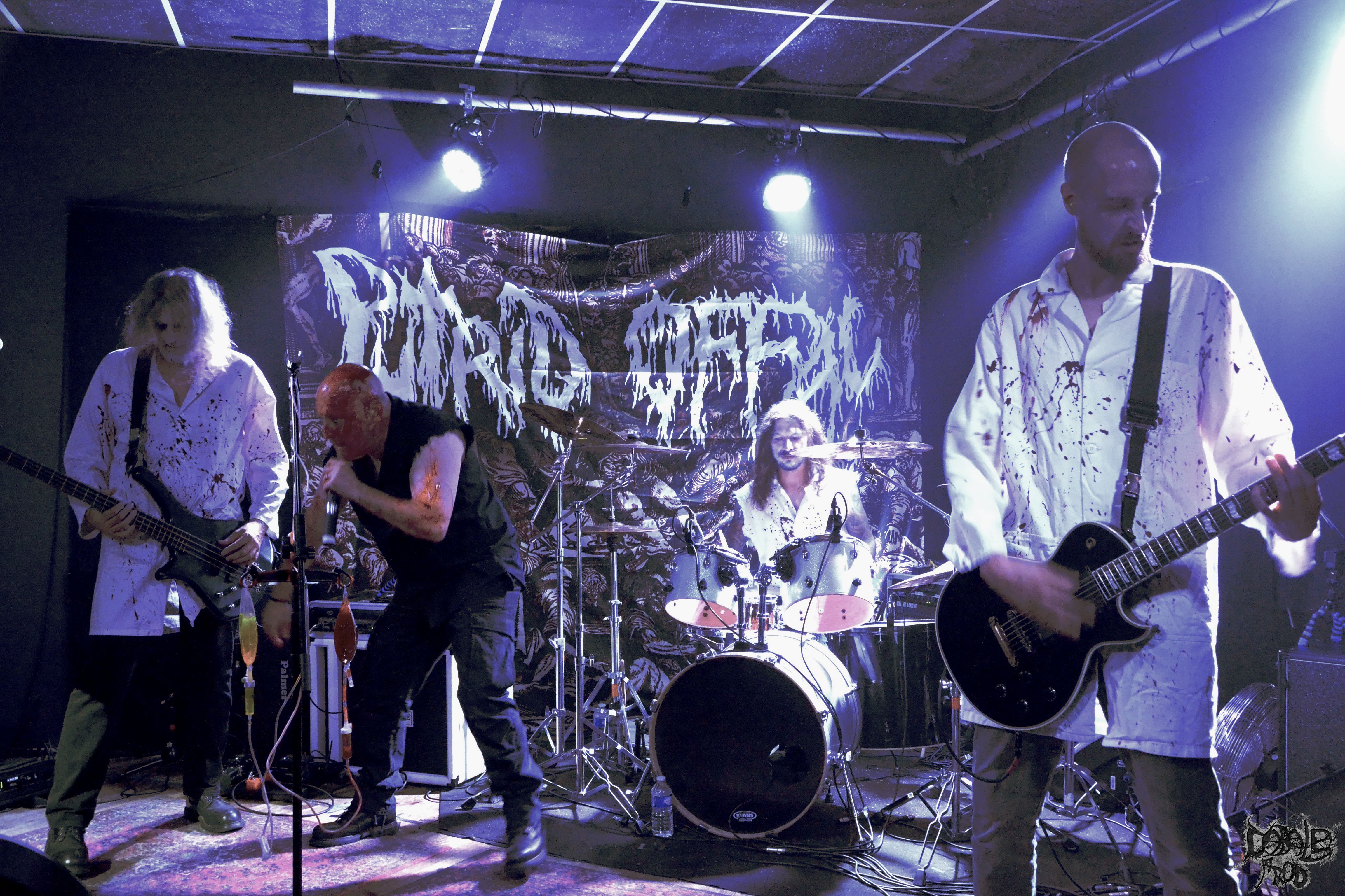 putrid offal5.jpg (2.13 MB)