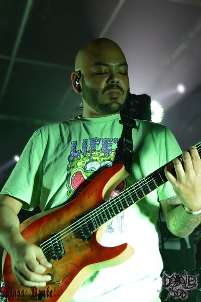 ALBER CAVE3.jpg (43 KB)