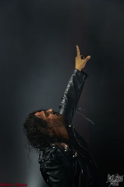 ACOD COUZ8.jpg (17 KB)